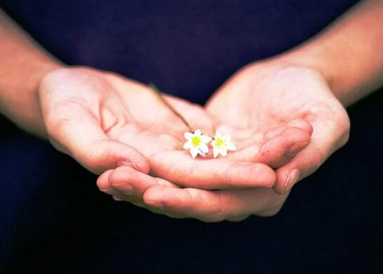 10 raisons de pratiquer la GRATITUDE